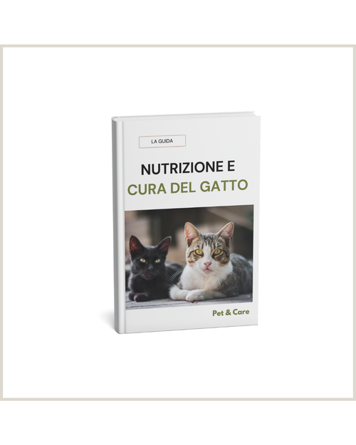 ALIMENTAZIONE E CURA FELINA