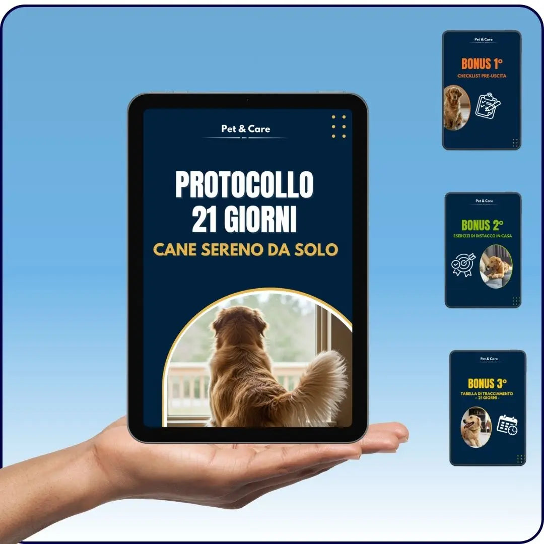 Protocollo 21 Giorni