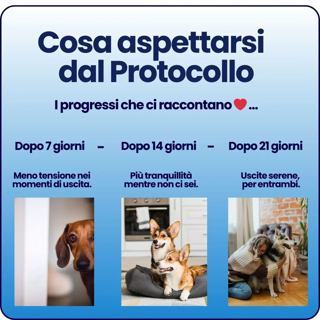 Protocollo 21 Giorni