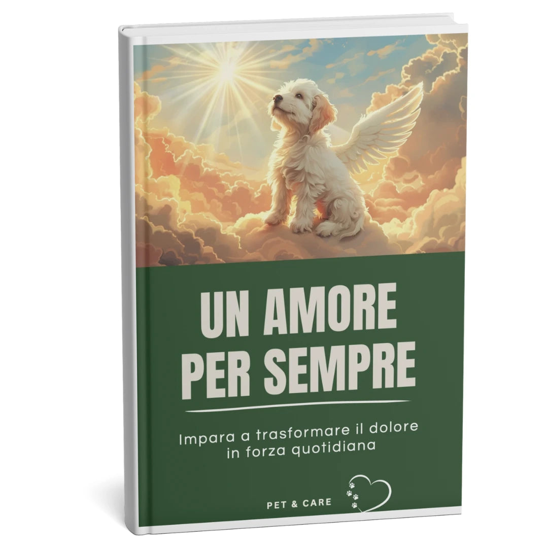 UN AMORE PER SEMPRE
